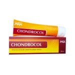 Хондрокол, гель 100 мл