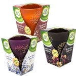 Свеча ароматизированная, AIRWICK (Эрвик) 155 г Инжир и ежевика